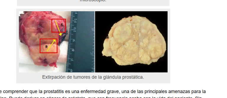 2025 11 27 11 18 21 png