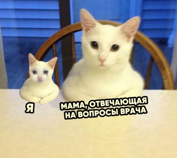 2025 07 24 11 29 18 png