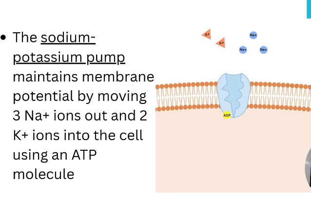 2026 04 24 23 51 30 png