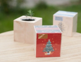 2026 02 23 13 59 52 png