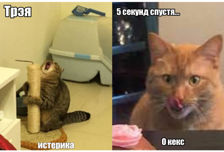 2025 10 07 23 36 19 png