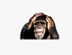 2025 05 09 18 18 11 png