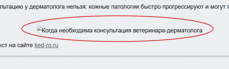 2025 12 01 12 03 28 png