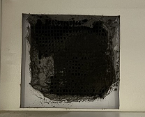 2026 06 13 12 21 51 png