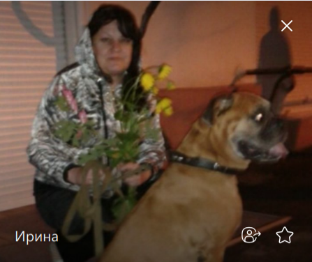 2026 04 12 21 22 46 png