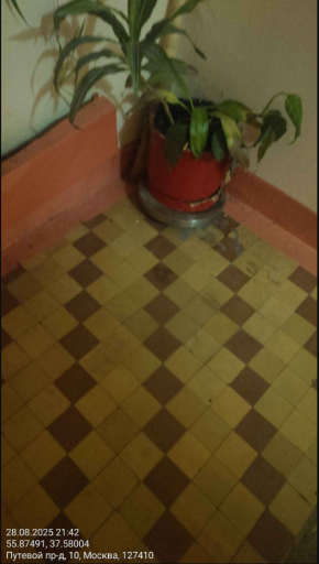 2025 08 29 15 45 15 png