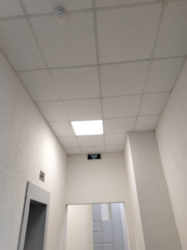 2025 06 06 14 36 41 png