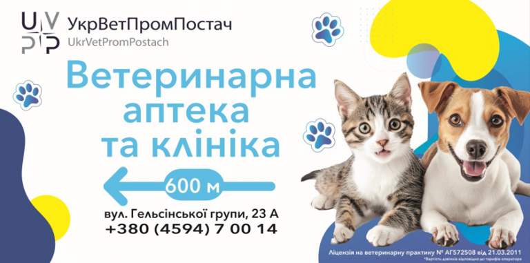 2025 08 22 13 59 14 png