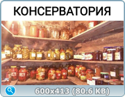 thumb 99a00d48ec891b4676813959c8e11f1c png