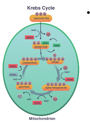 2026 04 26 18 44 34 png