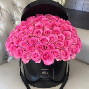 2026 04 24 11 59 29 png