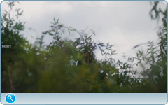 thumb db5ab821a76e28d93322f5346155af3b png
