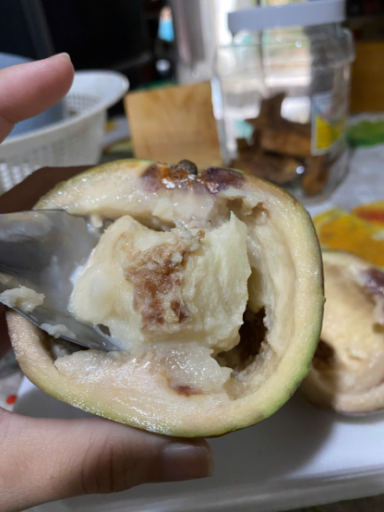 2025 11 24 13 44 10 png