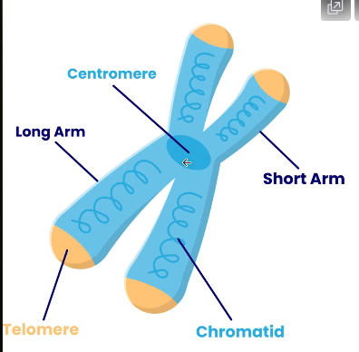 2026 04 26 20 27 06 png