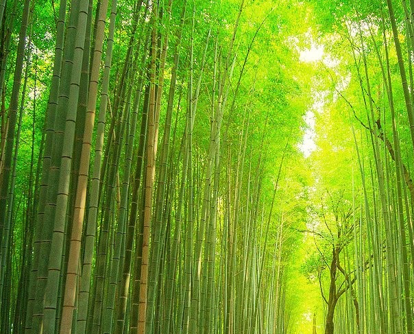 2025 10 31 11 30 46 png