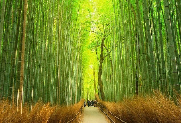 2025 10 31 11 32 27 png