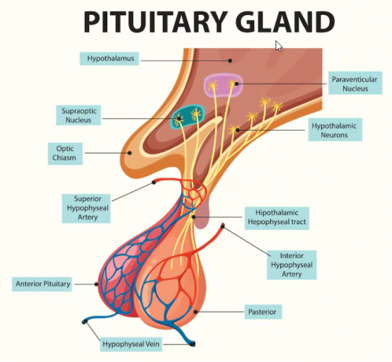 2025 12 22 10 24 54 png