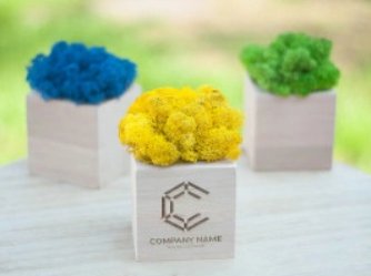 2026 02 21 15 01 54 png