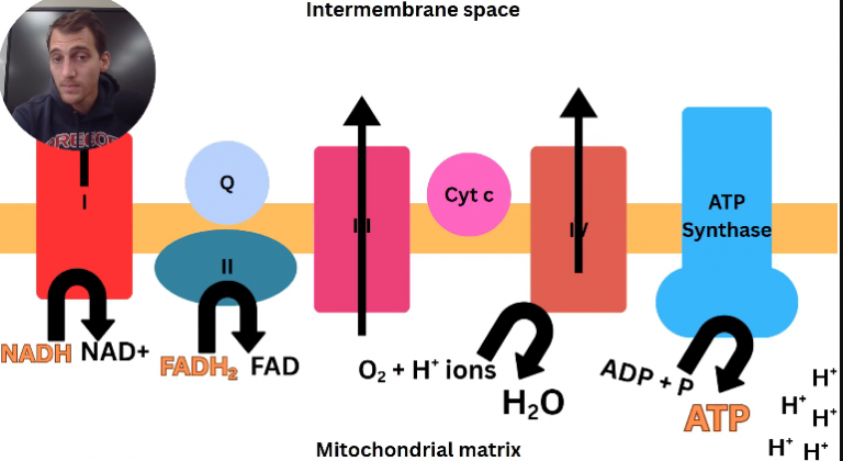 2026 04 26 18 51 58 png