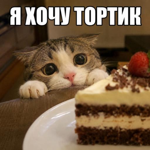 ya xochu tortik 74393 jpg