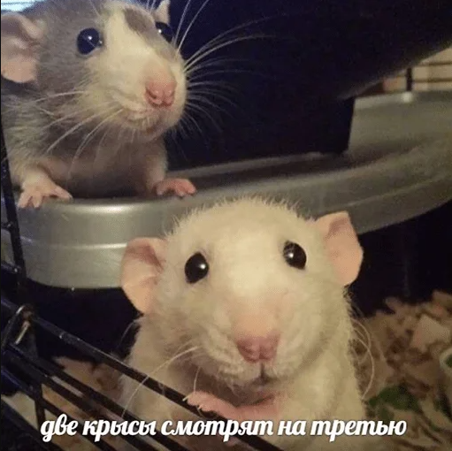 2026 04 02 11 37 34 png