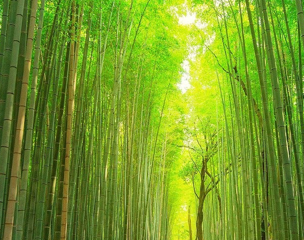 2025 10 31 11 33 27 png