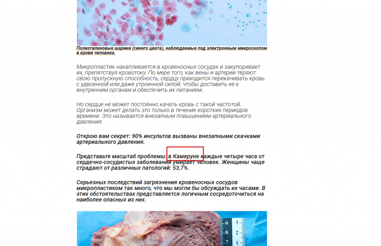 2026 03 16 08 55 26 png