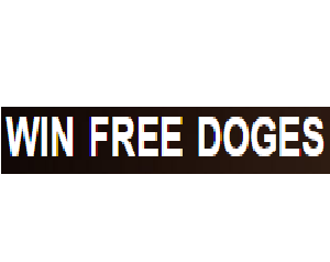 2026 10 08 18 33 40 png