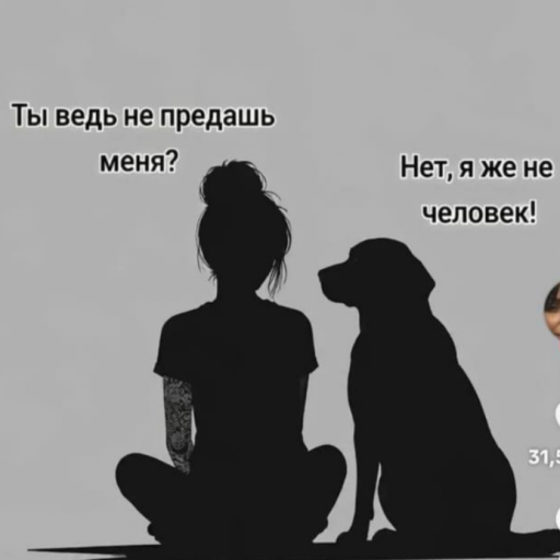 2026 07 11 20 46 08 png