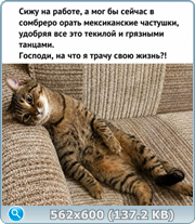 thumb a6c216277bd37b276b090566a1b03e82 png