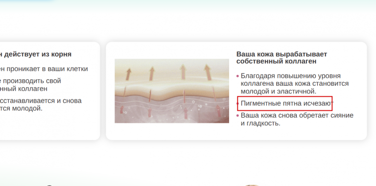 2025 11 24 12 22 59 png