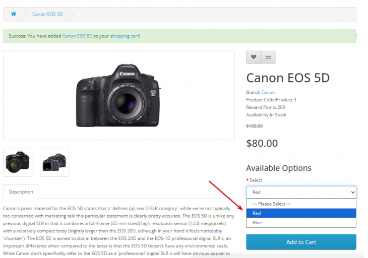 2026 02 19 23 49 46 png