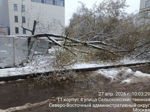 2026 04 29 14 21 35 png