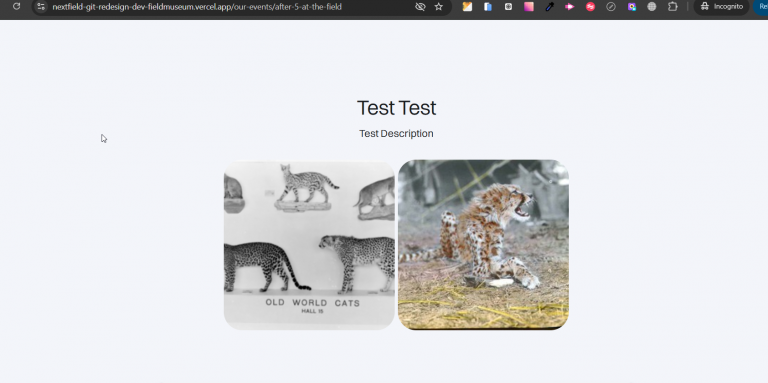 2025 10 24 13 23 39 png