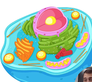 2026 04 24 23 54 44 png