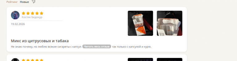 2026 02 19 17 00 09 png