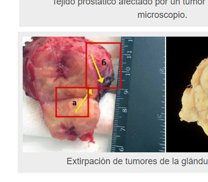 2025 12 01 11 00 42 png