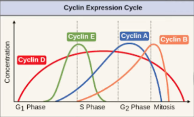 2026 04 26 20 33 08 png