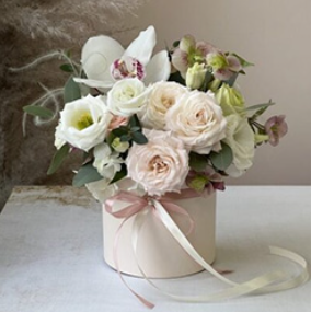 2026 04 15 09 21 06 png