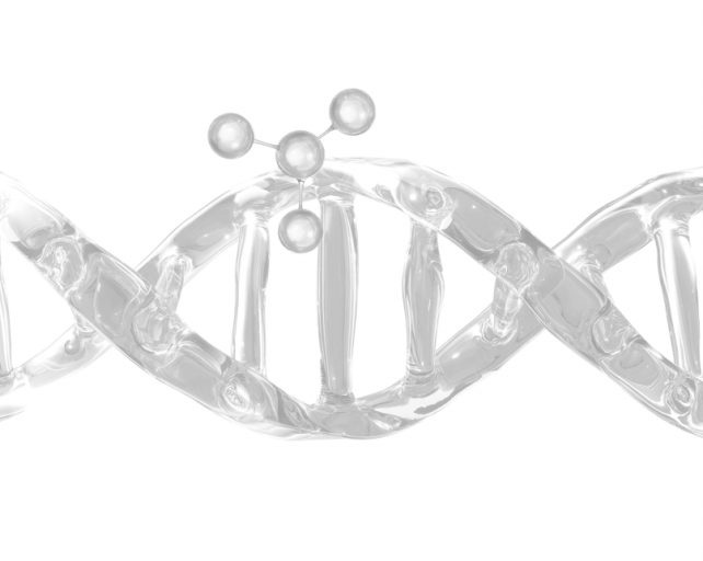 2025 12 04 10 10 05 png