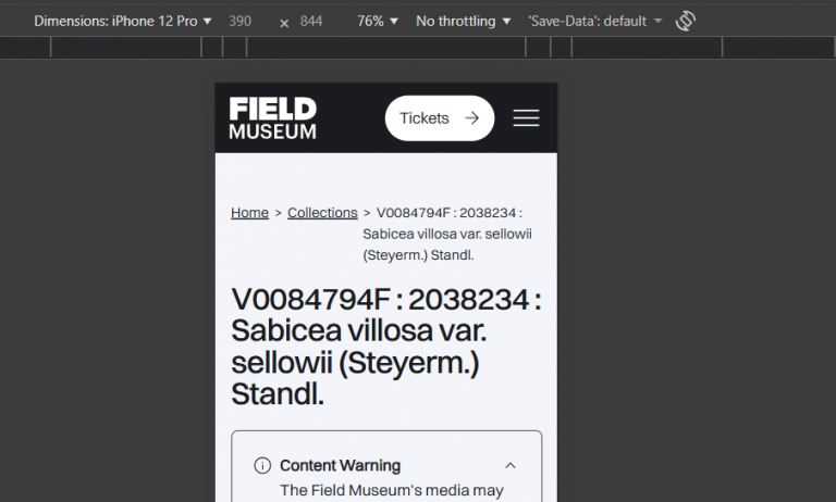 2026 02 03 17 43 50 png