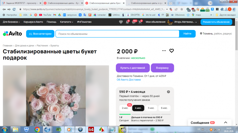 2026 01 28 14 19 22 png