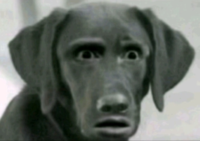 Screenshot 20260115 192721 TikTok jpg