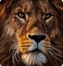 2026 03 28 12 14 20 png