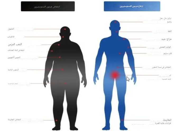 2025 10 10 14 54 31 png