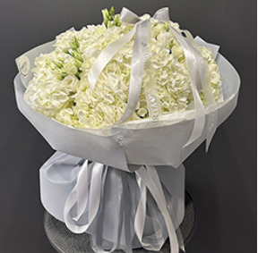 2026 04 20 10 15 33 png