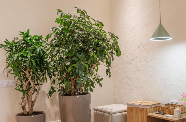 2026 03 11 11 47 08 png