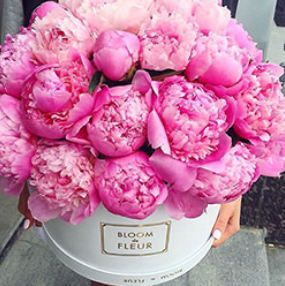 2026 04 11 17 00 12 png