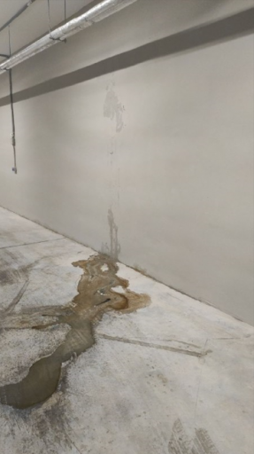 2025 11 21 14 36 35 png