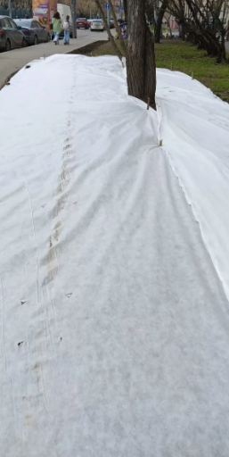 2026 04 18 18 52 20 png